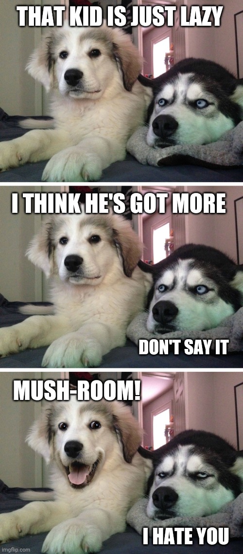 Bad pun dogs | THAT KID IS JUST LAZY I HATE YOU I THINK HE'S GOT MORE DON'T SAY IT MUSH-ROOM! | image tagged in bad pun dogs | made w/ Imgflip meme maker