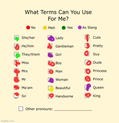 My pronouns I'd like you to address me as! | image tagged in pronouns sheet | made w/ Imgflip meme maker