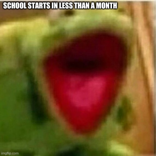 were all doomed | SCHOOL STARTS IN LESS THAN A MONTH | image tagged in ahhhhhhhhhhhhh | made w/ Imgflip meme maker