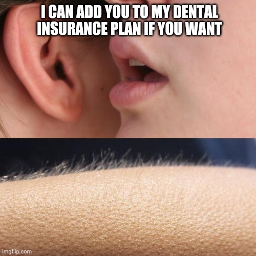 Ooh, full coverage? | I CAN ADD YOU TO MY DENTAL INSURANCE PLAN IF YOU WANT | image tagged in whisper and goosebumps | made w/ Imgflip meme maker