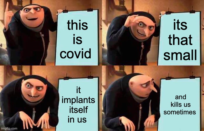 Gru's Plan | this is covid; its that small; it implants itself in us; and kills us sometimes | image tagged in memes,gru's plan | made w/ Imgflip meme maker