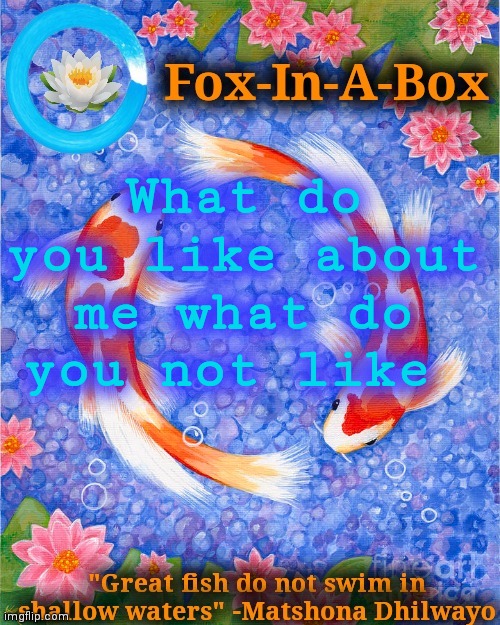 What do you like about me what do you not like | image tagged in fox-in-a-box fish temp | made w/ Imgflip meme maker