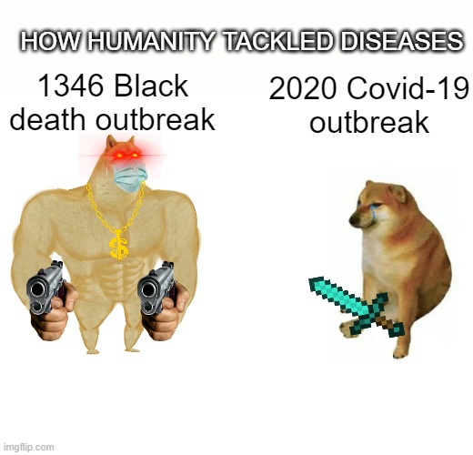 Buff Doge vs. Cheems Meme | HOW HUMANITY TACKLED DISEASES; 1346 Black death outbreak; 2020 Covid-19 outbreak | image tagged in memes,buff doge vs cheems | made w/ Imgflip meme maker