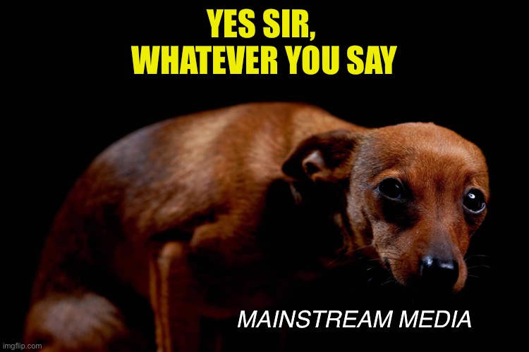 Submissive dog | YES SIR, 
WHATEVER YOU SAY MAINSTREAM MEDIA | image tagged in submissive dog | made w/ Imgflip meme maker