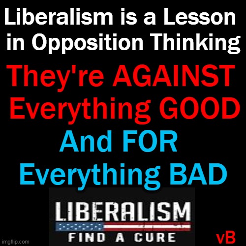 The Hard Truth | Liberalism is a Lesson 
in Opposition Thinking; They're AGAINST 
Everything GOOD; And FOR 
Everything BAD; vB | image tagged in politics,liberalism,destructive force,simple truth | made w/ Imgflip meme maker