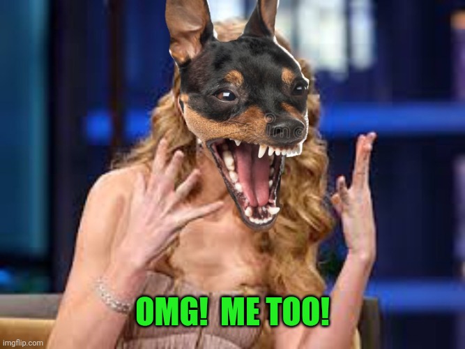 Taylor Swift OMG dog | OMG!  ME TOO! | image tagged in taylor swift omg dog | made w/ Imgflip meme maker