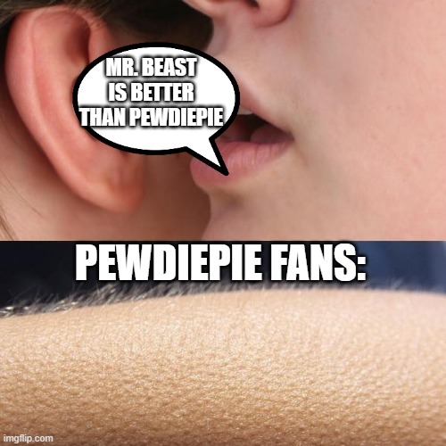 Pewdiepie fans worst horror | MR. BEAST IS BETTER THAN PEWDIEPIE; PEWDIEPIE FANS: | image tagged in whisper and goosebumps | made w/ Imgflip meme maker