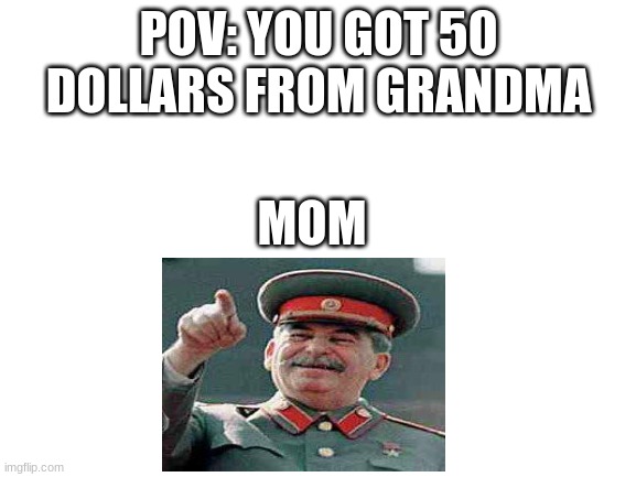 Blank White Template | POV: YOU GOT 50 DOLLARS FROM GRANDMA; MOM | image tagged in blank white template | made w/ Imgflip meme maker