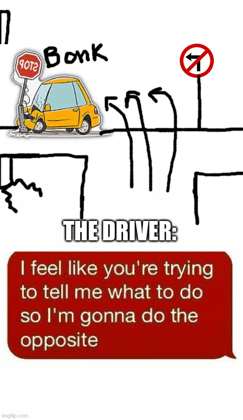 well now i dont wanna do it | THE DRIVER: | image tagged in blank white template | made w/ Imgflip meme maker