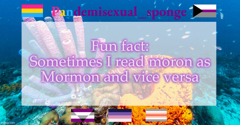 *insert shrug here* | Fun fact:
Sometimes I read moron as Mormon and vice versa | image tagged in pandemisexual_sponge temp,demisexual_sponge | made w/ Imgflip meme maker