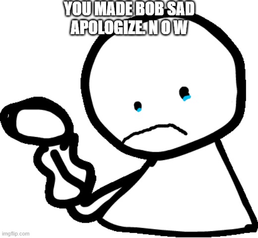 bob sad |  YOU MADE BOB SAD
APOLOGIZE. N O W | image tagged in bob | made w/ Imgflip meme maker