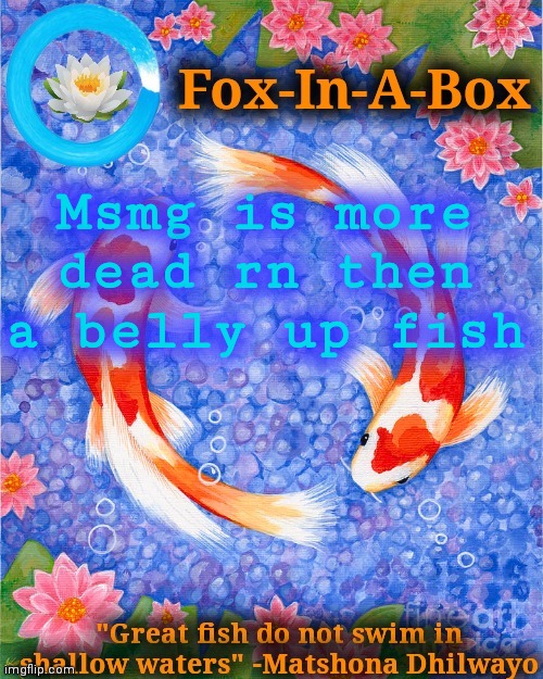 Msmg is more dead rn then a belly up fish | image tagged in fox-in-a-box fish temp | made w/ Imgflip meme maker