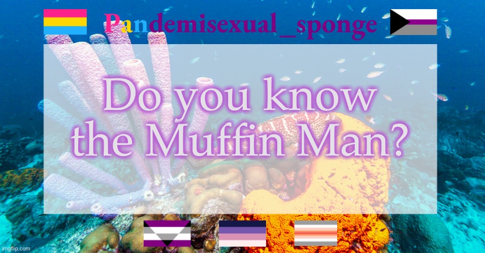 Pandemisexual_sponge temp | Do you know the Muffin Man? | image tagged in pandemisexual_sponge temp,demisexual_sponge | made w/ Imgflip meme maker