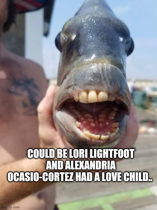 Fish with human teeth | COULD BE LORI LIGHTFOOT AND ALEXANDRIA OCASIO-CORTEZ HAD A LOVE CHILD.. | image tagged in crazy aoc,lori lightfoot,democrats,fish,human teeth | made w/ Imgflip meme maker