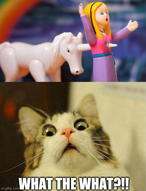 Scared Cat | WHAT THE WHAT?!! | image tagged in memes,scared cat | made w/ Imgflip meme maker