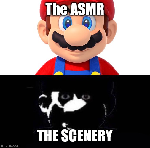 yes | The ASMR; THE SCENERY | image tagged in asmr | made w/ Imgflip meme maker