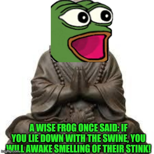 Wise frog | A WISE FROG ONCE SAID: IF YOU LIE DOWN WITH THE SWINE, YOU WILL AWAKE SMELLING OF THEIR STINK! | image tagged in buddah pik,frog,pepe the frog | made w/ Imgflip meme maker