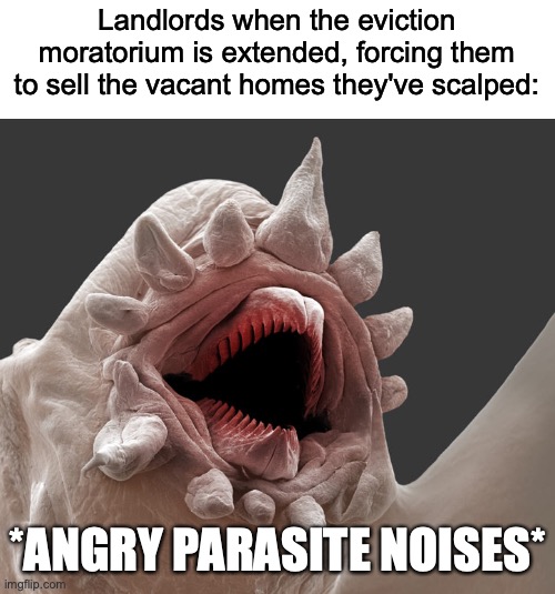 Angry Parasites | Landlords when the eviction moratorium is extended, forcing them to sell the vacant homes they've scalped:; *ANGRY PARASITE NOISES* | image tagged in laug in parasite,landlords,eviction,covid-19 | made w/ Imgflip meme maker
