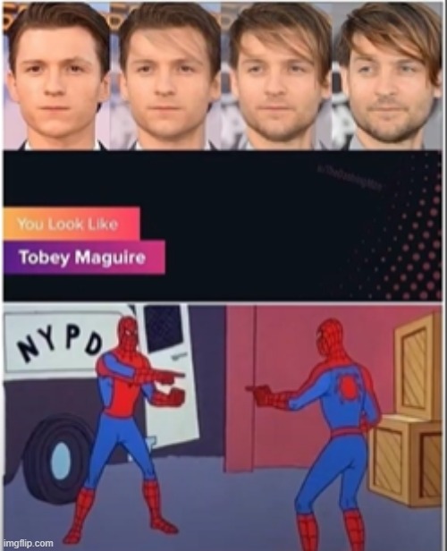 spiderman nwh | image tagged in spiderman pointing at spiderman | made w/ Imgflip meme maker