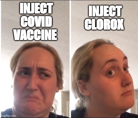 Kombucha Girl | INJECT COVID VACCINE; INJECT CLOROX | image tagged in kombucha girl | made w/ Imgflip meme maker