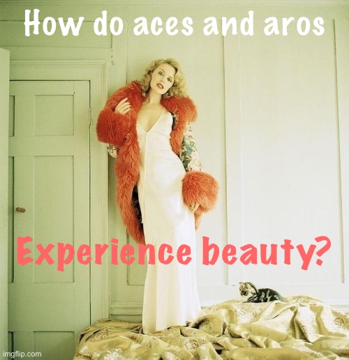 If you are ace or aro — What emotions do you experience when perceiving a person who is “beautiful”? | How do aces and aros; Experience beauty? | image tagged in kylie 1994,asexual,aromantic,beauty,beautiful woman,emotions | made w/ Imgflip meme maker