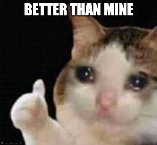 Approved crying cat | BETTER THAN MINE | image tagged in approved crying cat | made w/ Imgflip meme maker