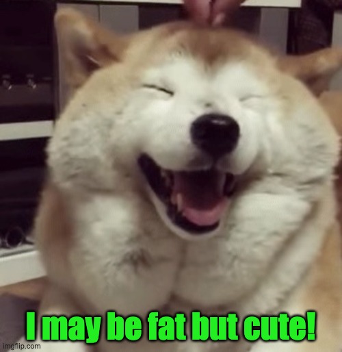 I may be fat but cute! | made w/ Imgflip meme maker