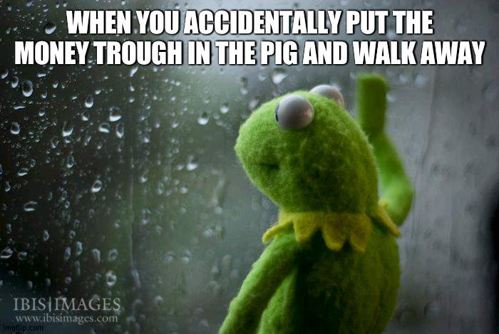 b r u h | WHEN YOU ACCIDENTALLY PUT THE MONEY TROUGH IN THE PIG AND WALK AWAY | image tagged in kermit window | made w/ Imgflip meme maker