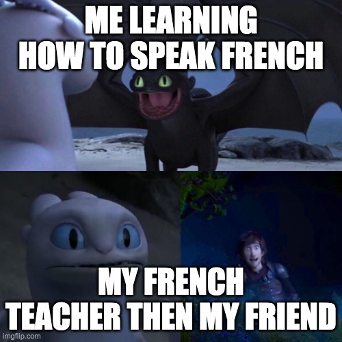 me in real life...kind of | ME LEARNING HOW TO SPEAK FRENCH; MY FRENCH TEACHER THEN MY FRIEND | image tagged in toothless meme | made w/ Imgflip meme maker
