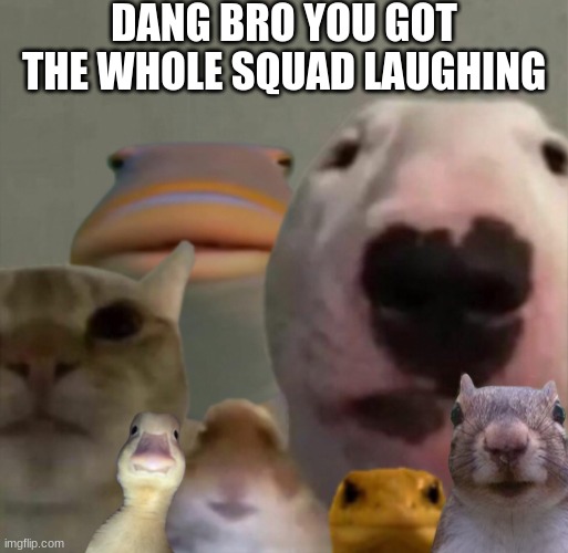 The council remastered | DANG BRO YOU GOT THE WHOLE SQUAD LAUGHING | image tagged in the council remastered | made w/ Imgflip meme maker