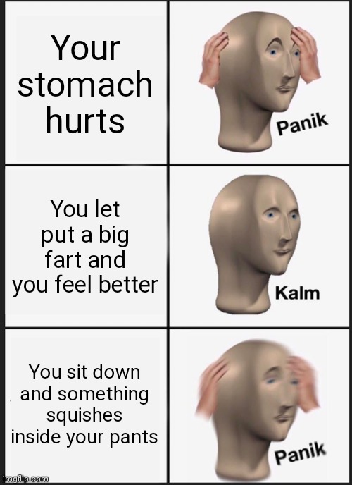 NOOOO! | Your stomach hurts; You let put a big fart and you feel better; You sit down and something squishes inside your pants | image tagged in memes,panik kalm panik | made w/ Imgflip meme maker