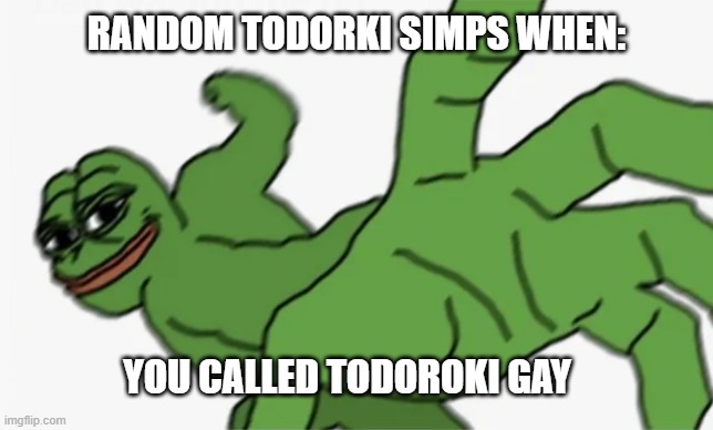 tbh i think it makes sense | RANDOM TODORKI SIMPS WHEN:; YOU CALLED TODOROKI GAY | image tagged in pepe punch | made w/ Imgflip meme maker