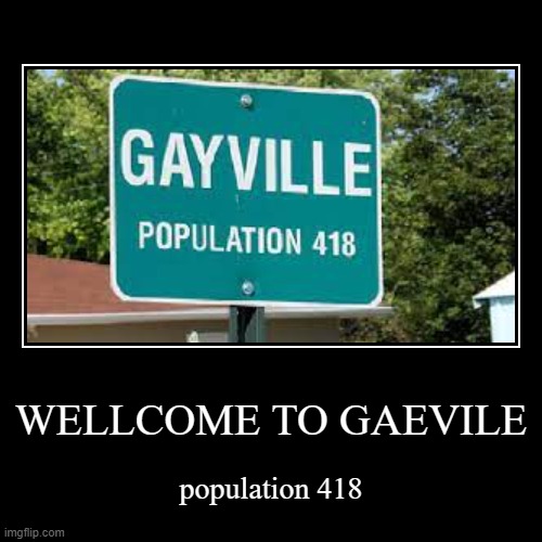 wElLcOmE tO gAeViLe | image tagged in funny,demotivationals,what the fu-,idk,weird stuff | made w/ Imgflip demotivational maker