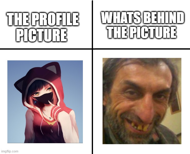 Discord Profile picture be like | WHATS BEHIND THE PICTURE; THE PROFILE PICTURE | image tagged in cross graph | made w/ Imgflip meme maker
