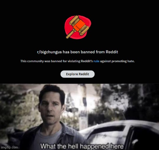 Seriously tho, what happened | image tagged in what the hell happened here | made w/ Imgflip meme maker