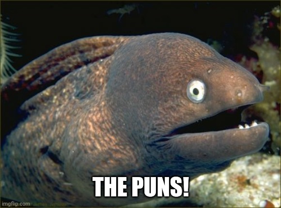 Bad Joke Eel Meme | THE PUNS! | image tagged in memes,bad joke eel | made w/ Imgflip meme maker