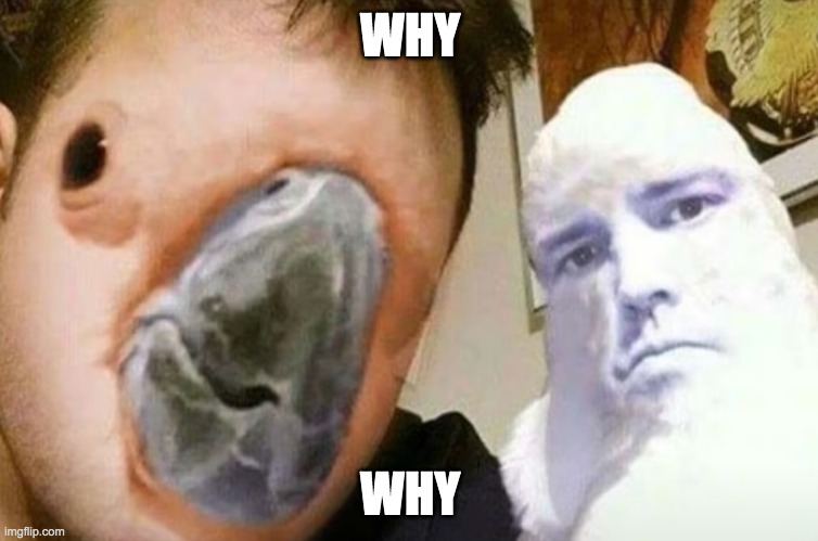 WHY; WHY | made w/ Imgflip meme maker