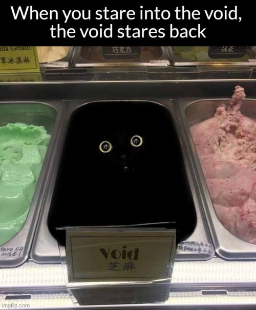 Void cat | image tagged in cats,animals,memes,funny memes,funny,food | made w/ Imgflip meme maker