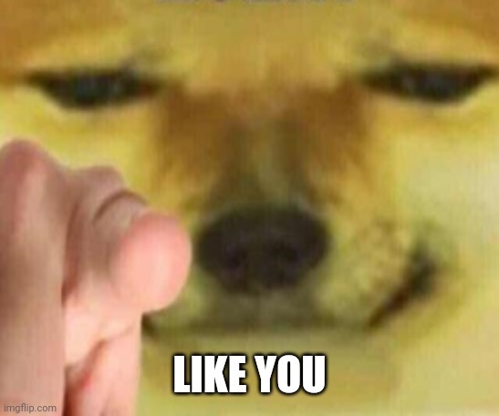 Cheems Pointing At You | LIKE YOU | image tagged in cheems pointing at you | made w/ Imgflip meme maker