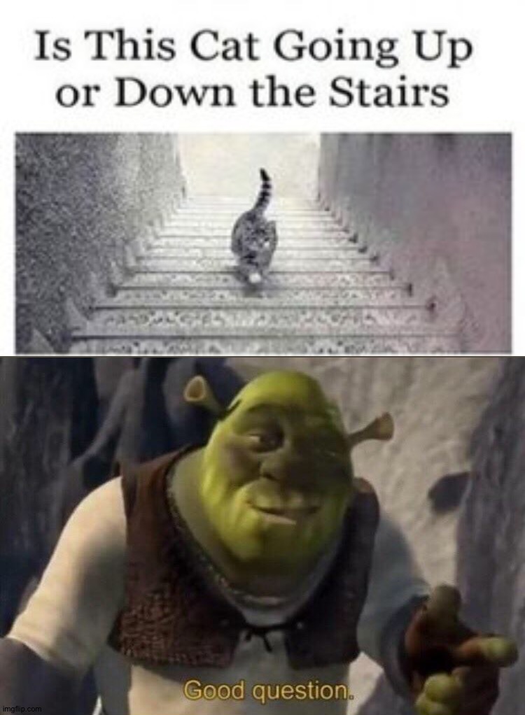 Umm... | image tagged in shrek good question,memes,funny,funny memes,cats,illusions | made w/ Imgflip meme maker