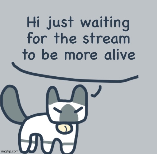Cat | Hi just waiting for the stream to be more alive | image tagged in cat | made w/ Imgflip meme maker