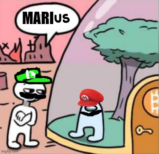 MARIUS | MARI | image tagged in mario | made w/ Imgflip meme maker