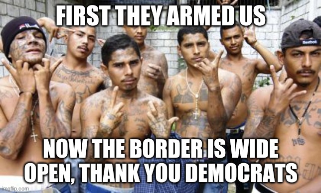 As soon as we get over this cough we will get to work | FIRST THEY ARMED US; NOW THE BORDER IS WIDE OPEN, THANK YOU DEMOCRATS | image tagged in ms13,covid supper spreaders,democrat attack on america,america in decline,american victims,bidens america | made w/ Imgflip meme maker