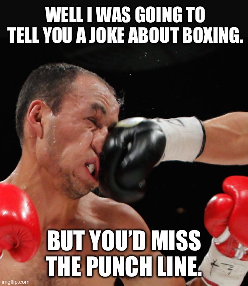 Boxing | WELL I WAS GOING TO TELL YOU A JOKE ABOUT BOXING. BUT YOU’D MISS THE PUNCH LINE. | image tagged in boxer getting punched in the face | made w/ Imgflip meme maker