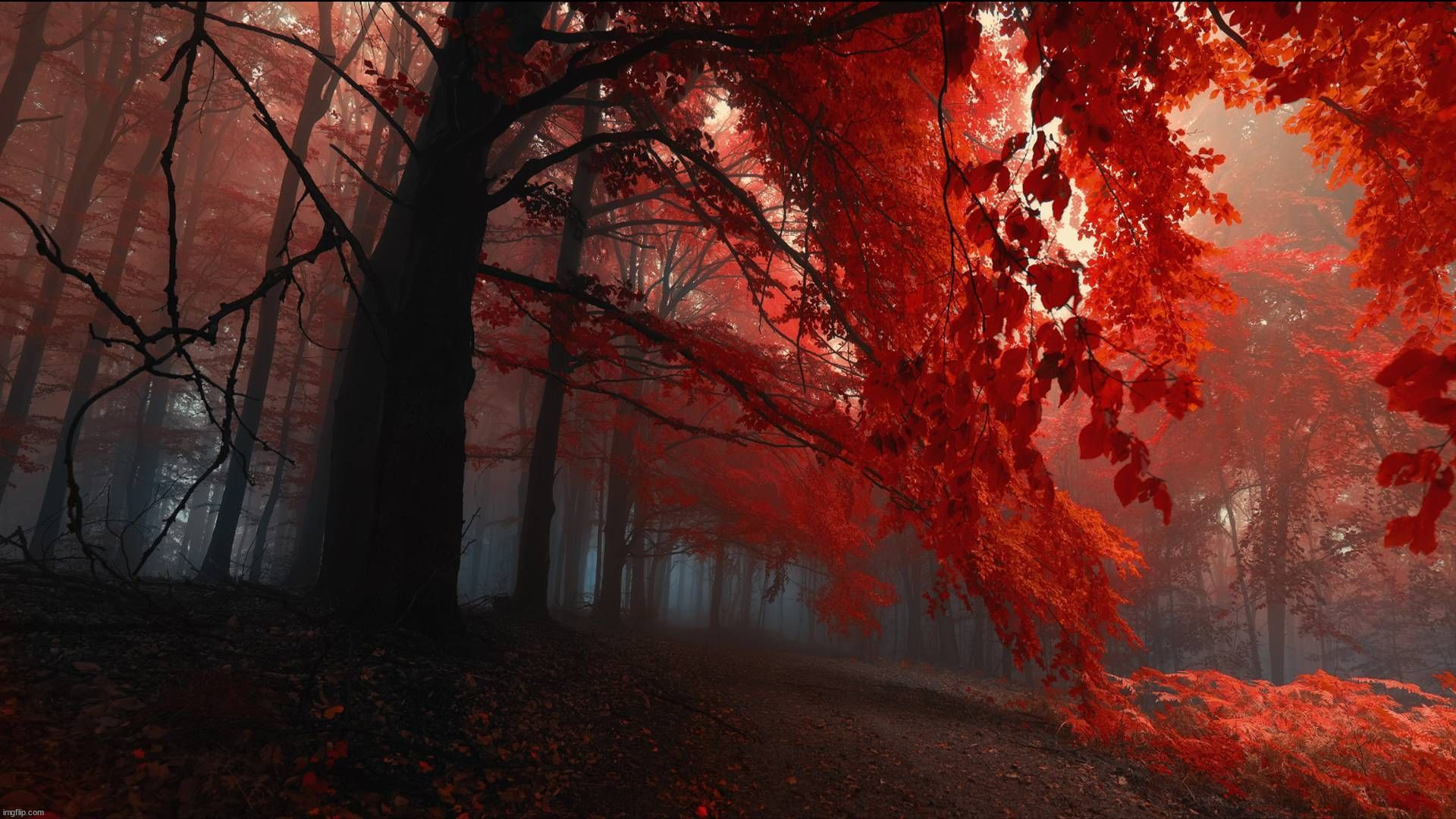 image tagged in awesome | made w/ Imgflip meme maker