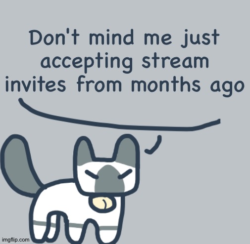 Cat | Don't mind me just accepting stream invites from months ago | image tagged in cat | made w/ Imgflip meme maker