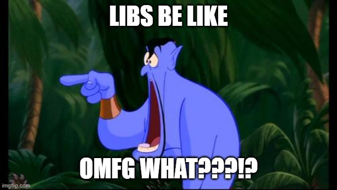 Genie Jawdropping | LIBS BE LIKE OMFG WHAT???!? | image tagged in genie jawdropping | made w/ Imgflip meme maker