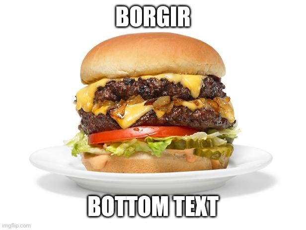 BORGIR; BOTTOM TEXT | image tagged in burger | made w/ Imgflip meme maker