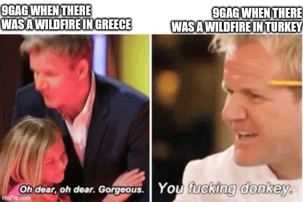 hypocrisy | 9GAG WHEN THERE WAS A WILDFIRE IN TURKEY; 9GAG WHEN THERE WAS A WILDFIRE IN GREECE | image tagged in chef gordon ramsay | made w/ Imgflip meme maker