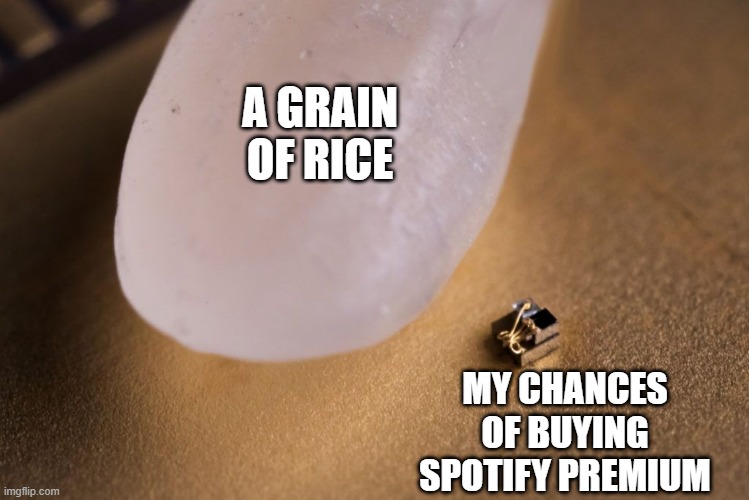 A GRAIN OF RICE; MY CHANCES OF BUYING SPOTIFY PREMIUM | image tagged in i ain't buyin that | made w/ Imgflip meme maker